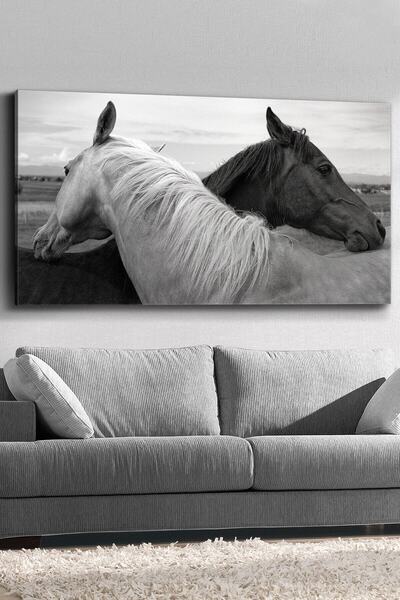 HDART Siyah Beyaz At Kanvas-canvas Tablo