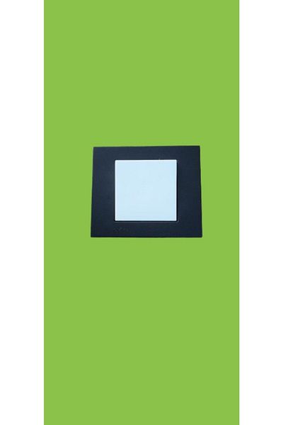 Creative Case Ovivo Black and White Switch (with Frame)