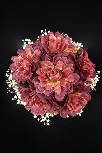 Kamus Burgundy Star Bride Flower