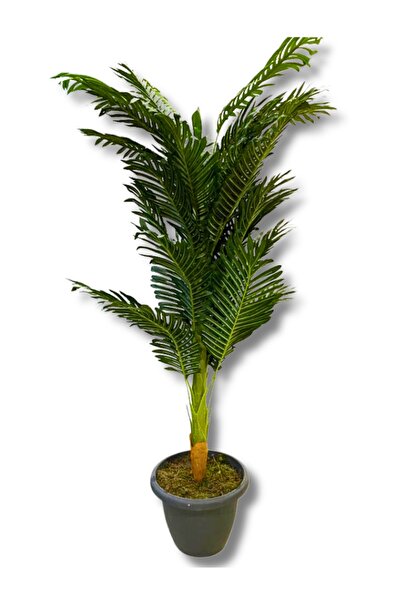 Cihan Çiçekçilik Areka Tek Gövde 170 Cm Yapay Ağaç Üretim Saksısı