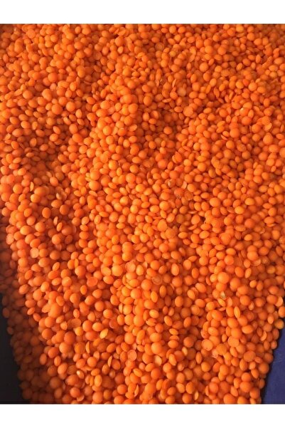 Aksa Kırmızı Mercimek 10  kg