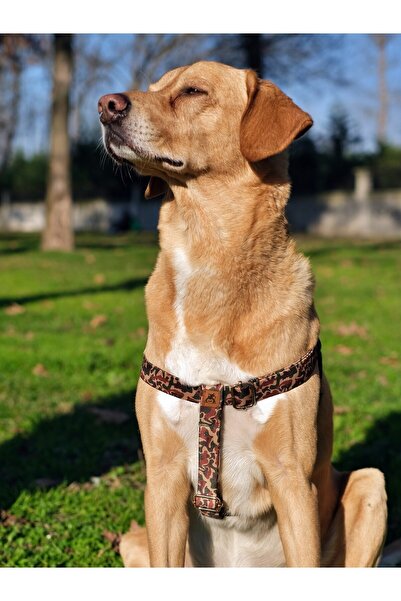 UTDpet Camouflage Köpek Tasma Seti