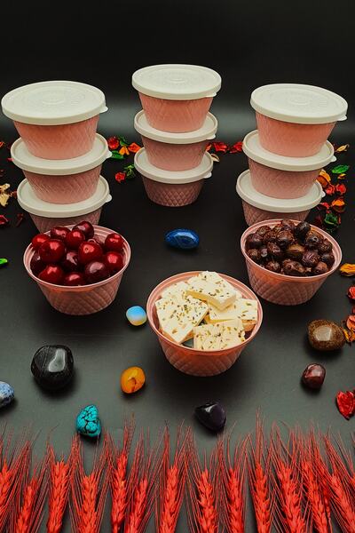 SWENCRAFT Storage Lunch Box Snack Bowl Set of 12 Luxury Box That Can Enter The Microwave Deep Freezer