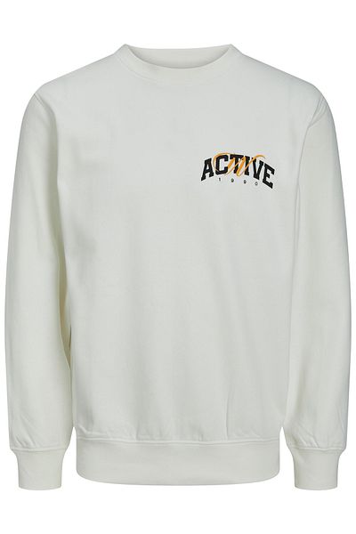 Jack & Jones Junior Kazak Unifarbener Rundhalspullover JORBRINK STUDIO SWEAT BİSİKLET YAKA JNR mit Normal Logo Baskılı