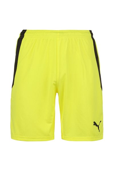 Puma TeamLIGA