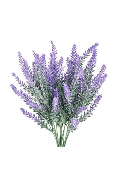 İdeaPazar Munstead Strain Bodur Ingiliz Lavanta Çiçeği Tohumu (95 Tohum)