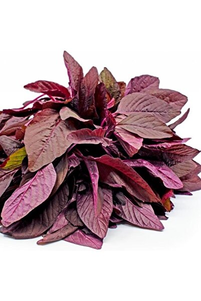 İdeaPazar Kırmızı Amarant Tohumu (100 Tohum)