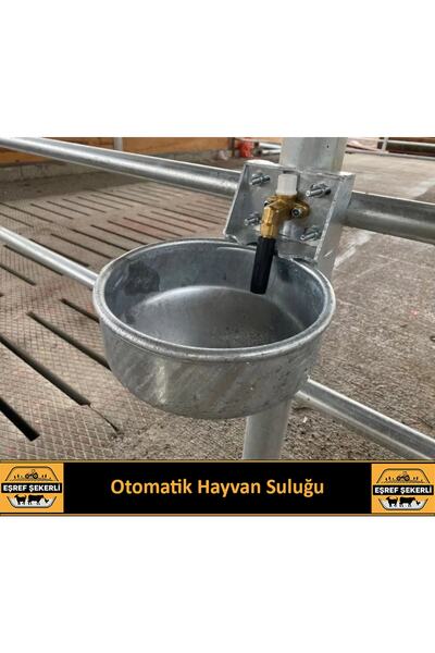 EŞREF ŞEKERLİ Otomatik Büyükbaş Hayvan Suluğu