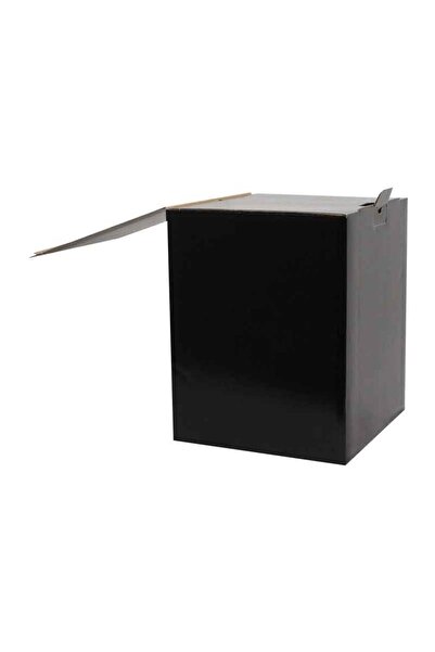 17x17x26cm Box - Black Box - 2,5 Desi Box - 15 pcs
