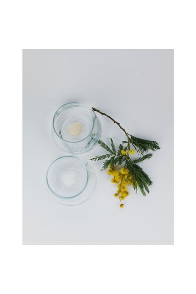 Minizooistanbul Sea Shell Water Glass Set of 2