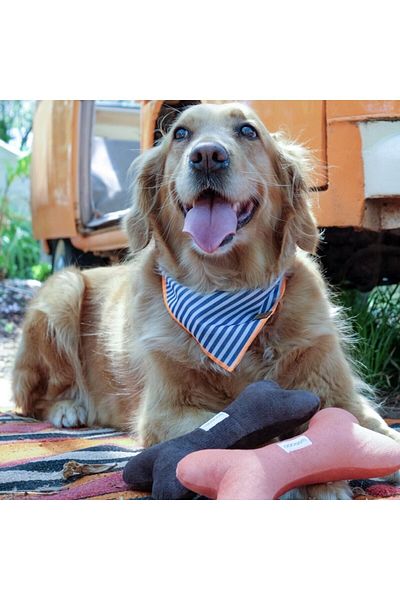 Lusi Doog Striped Dog Scarf - Dog Bandana (SIZE S - M - L) with Orange Detail