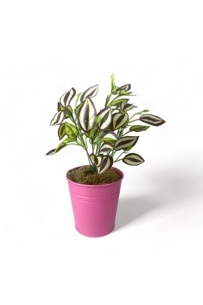 FERONYA 2 Adet Renkli Dekoratif Galvaniz Saksı, Renkli Dekoratif Metal Saksı ...