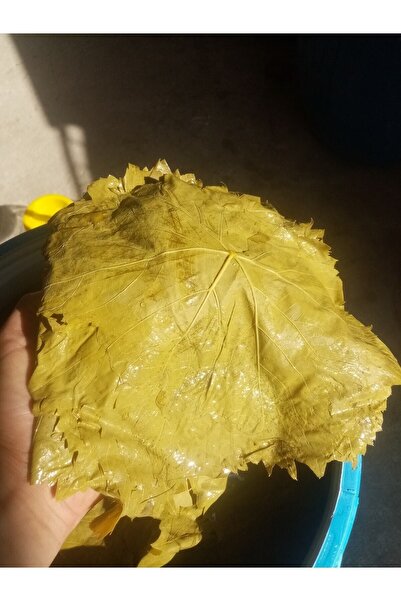 Egenin Lezzet Durağı Manisa Salamura Uç Yaprağı