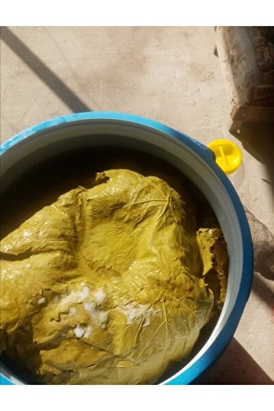 Egenin Lezzet Durağı Manisa Salamura Uç Yaprağı