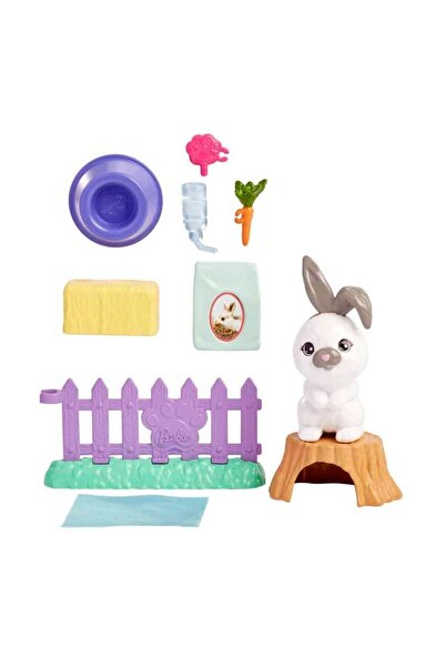 Barbie Sevimli Hayvanlar ve Aksesuarları HKD81
