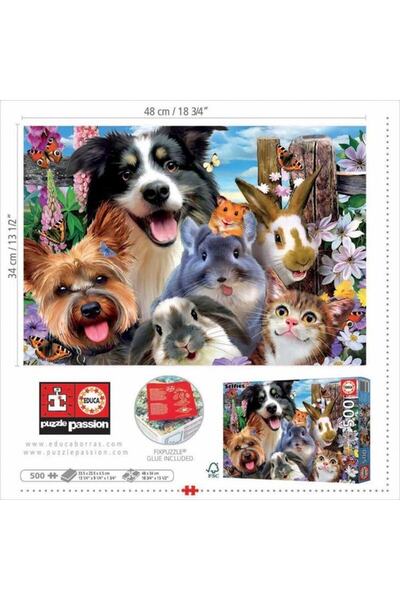 EDUCA 500 Amigos Del Patio Fsc(R)