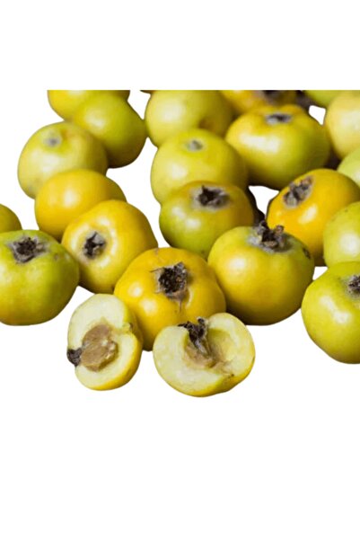 fidanpaketim Sarı Alıç Ağacı tüplü aşılı