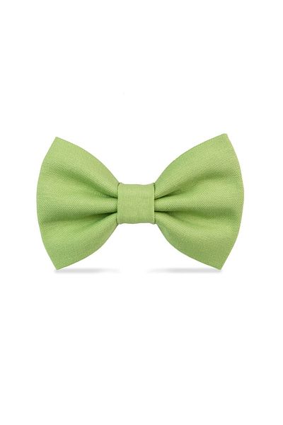 Lusi Doog Pistachio Green and Light Pink Dog Bow Tie Set of 2