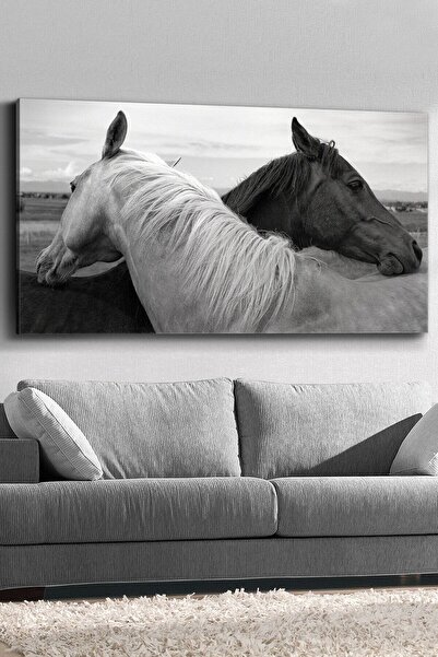HDART Siyah Beyaz At Kanvas-canvas Tablo