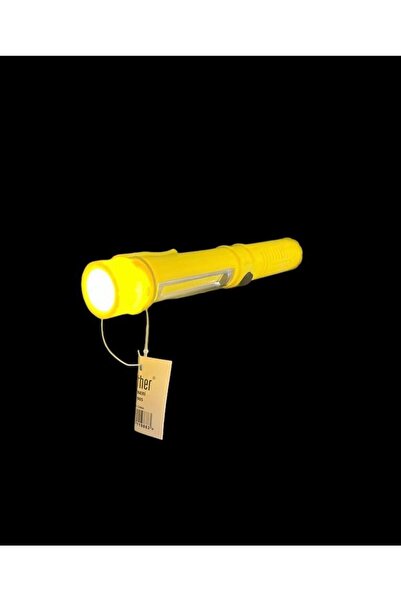 PANTHO MIKNATISLI EL FENERİ