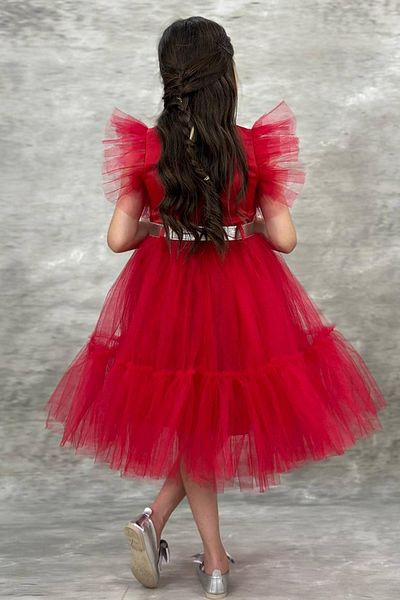 Riccotarz Girl's Shirt Collar Chest and Sleeves Tulle Detailed Wednesday Red Dress