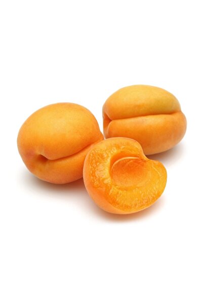 Sebze Meyve Dünyası Malatya Kayısı  1 kg