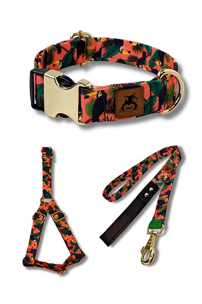 UTDpet Toucan Dog Collar Set