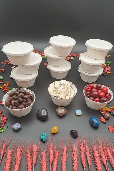 SWENCRAFT Storage Lunch Box Snack Bowl Set of 12 Luxury Box That Can Enter The Microwave Deep Freezer