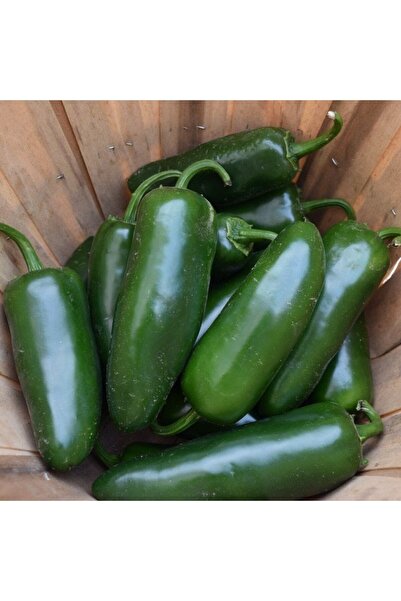 İdeaPazar Doğal Çok Acı Jalapeno Biber Tohumu (20adet)