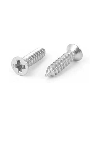 Fapatech M2.2 9.5mm Yıldız Başlı Vida Sac Ahşap Servo Vidası - 10 Adet