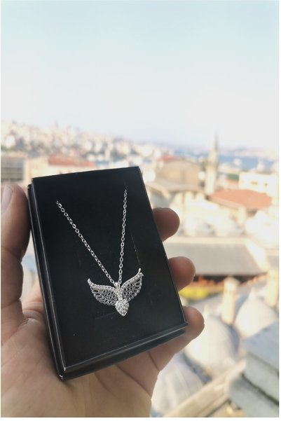 Ervanur Zircon Stone Angel Wings Heart Necklace