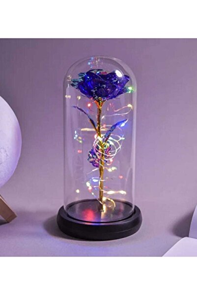 BYSHOPPİNG Cam Mika Fanus Led Işıklı Gül 22 Cm Mika Fanus Peri 5m Led Işıklı ...
