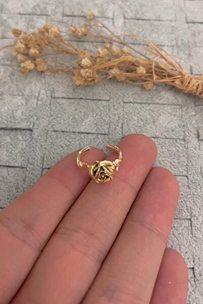 Jaida Moda Kadın Gül Desenli Orbital Sıkıştırma Kıkırdak Küpe