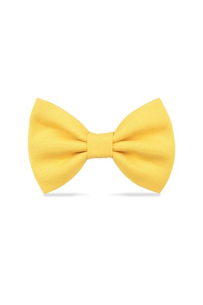 Lusi Doog Yellow Green Dog Bow Tie Set of 2