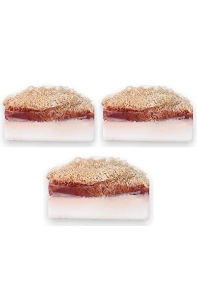 Turkishcare Handmade Donkey Milk & Honey Natural Pumpkin Fiber Soap 3 Pack