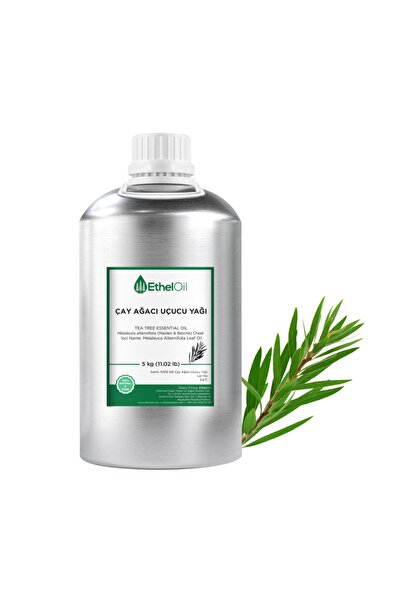 Etheloil Çay Ağacı Uçucu Yağı 5 kg  Saf Ve Doğal Uçucu Yağ
