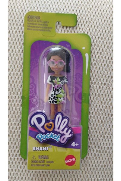 Polly Pocket VE ARKADAŞLARI