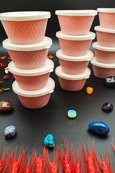 SWENCRAFT Storage Lunch Box Snack Bowl Set of 12 Luxury Box That Can Enter The Microwave Deep Freezer