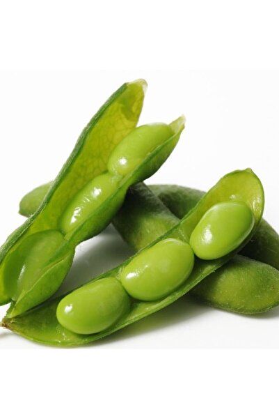 İdeaPazar Doğal Soya Fasulye Tohumu(100 Tohum)