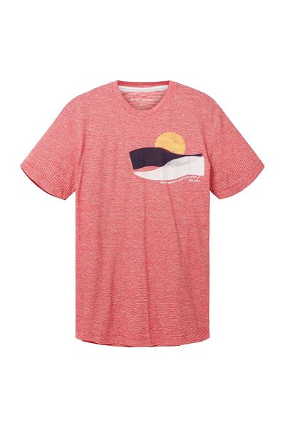 Tom Tailor T-Shirt gestreiftes Kurzarmshirt mit Rundhalsausschnitt und Foto-Print