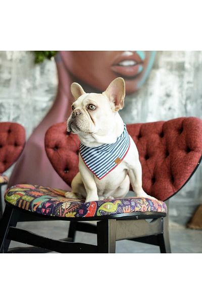 Lusi Doog Striped Dog Scarf - Dog Bandana (SIZE S - M - L) With Red Detail