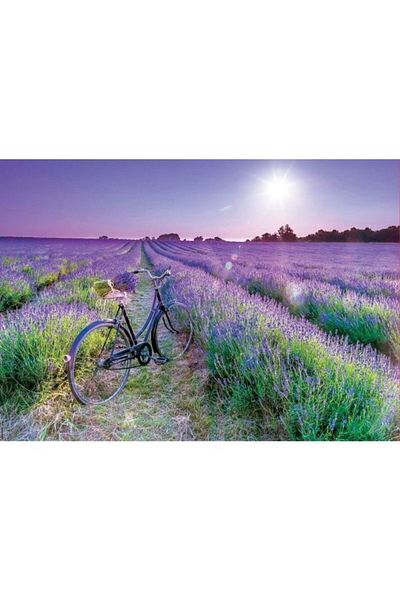 EDUCA 1000 Bıcıcleta Campo Lavanda F
