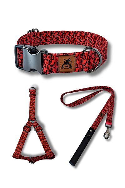 UTDpet Redd Dog Collar Set
