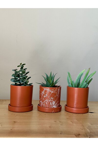 odka Silindir 3'lü Kaktüs Saksı Seti Kiremit