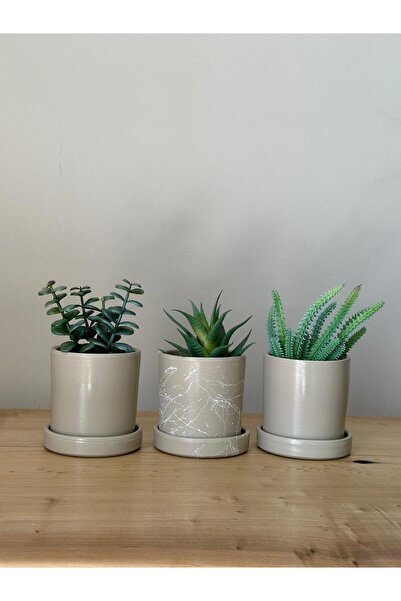 odka Silindir 3'lü Kaktüs Saksı Seti Taş
