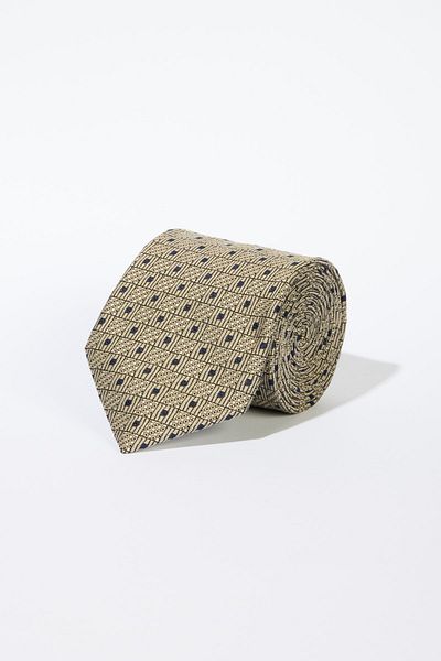 ALTINYILDIZ CLASSICS Men's Beige-Navy Blue Patterned Tie