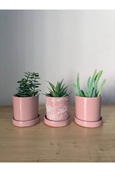 odka Silindir 3'lü Kaktüs Saksı Seti Pembe