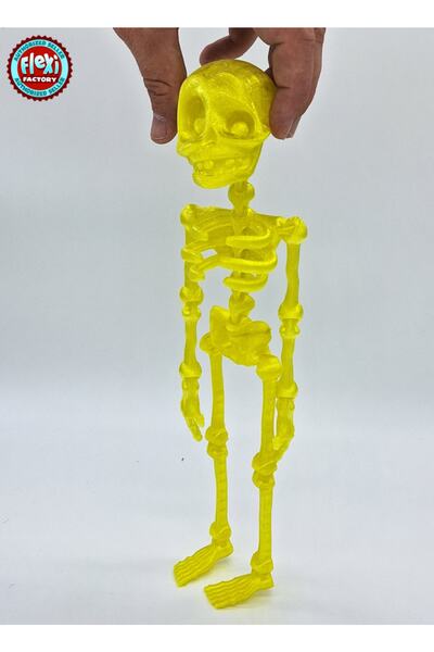 Flexi Factory Büyük Boy Iskelet / Yüksek Kalite/ *lisanslı Model*/ Duvar Tabl...