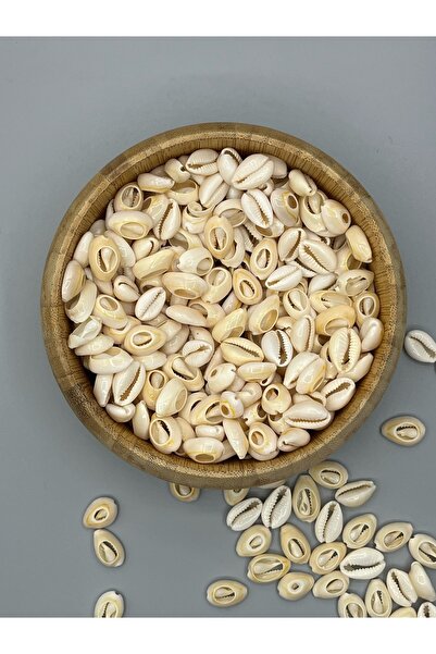 Egem aksesuar صنع مجوهرات صدف البحر 50 قطعة