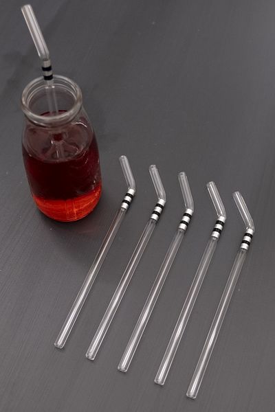 Milea 6-Piece Black Silver Detailed Glass Pipette Set with Handle - Heat Resistant Borosilicate Glass